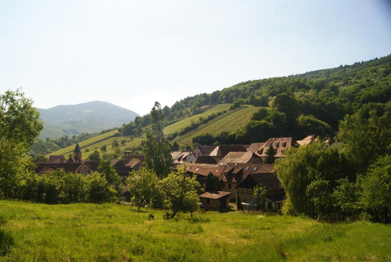 Gite Du Thalala Villa Bernardvillé Exterior foto